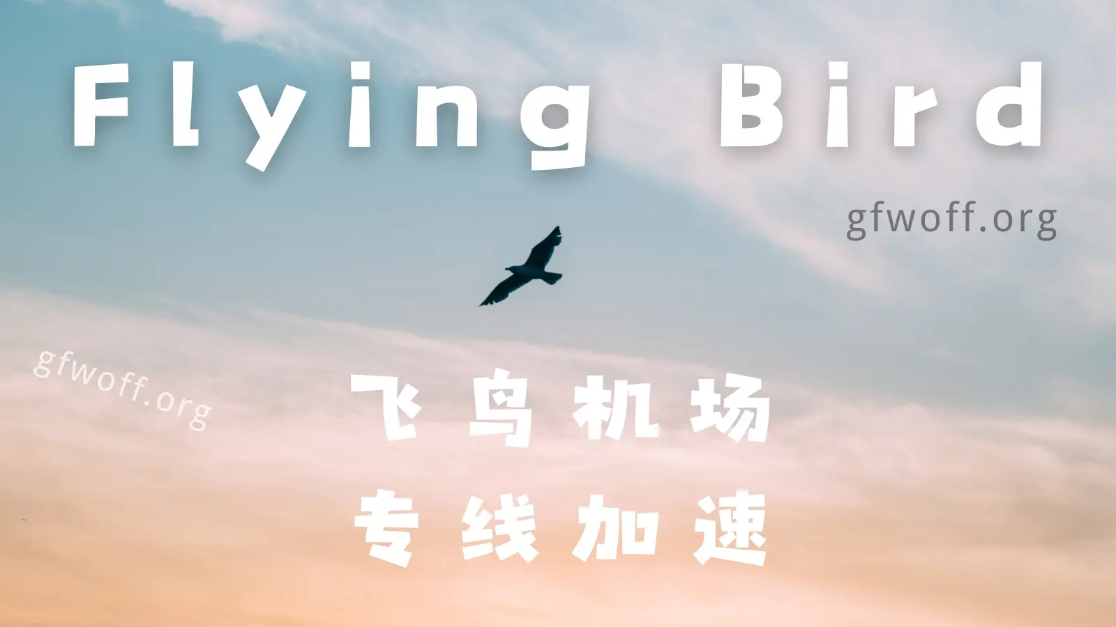 2026 年中国好用的预备役手机VPN推荐